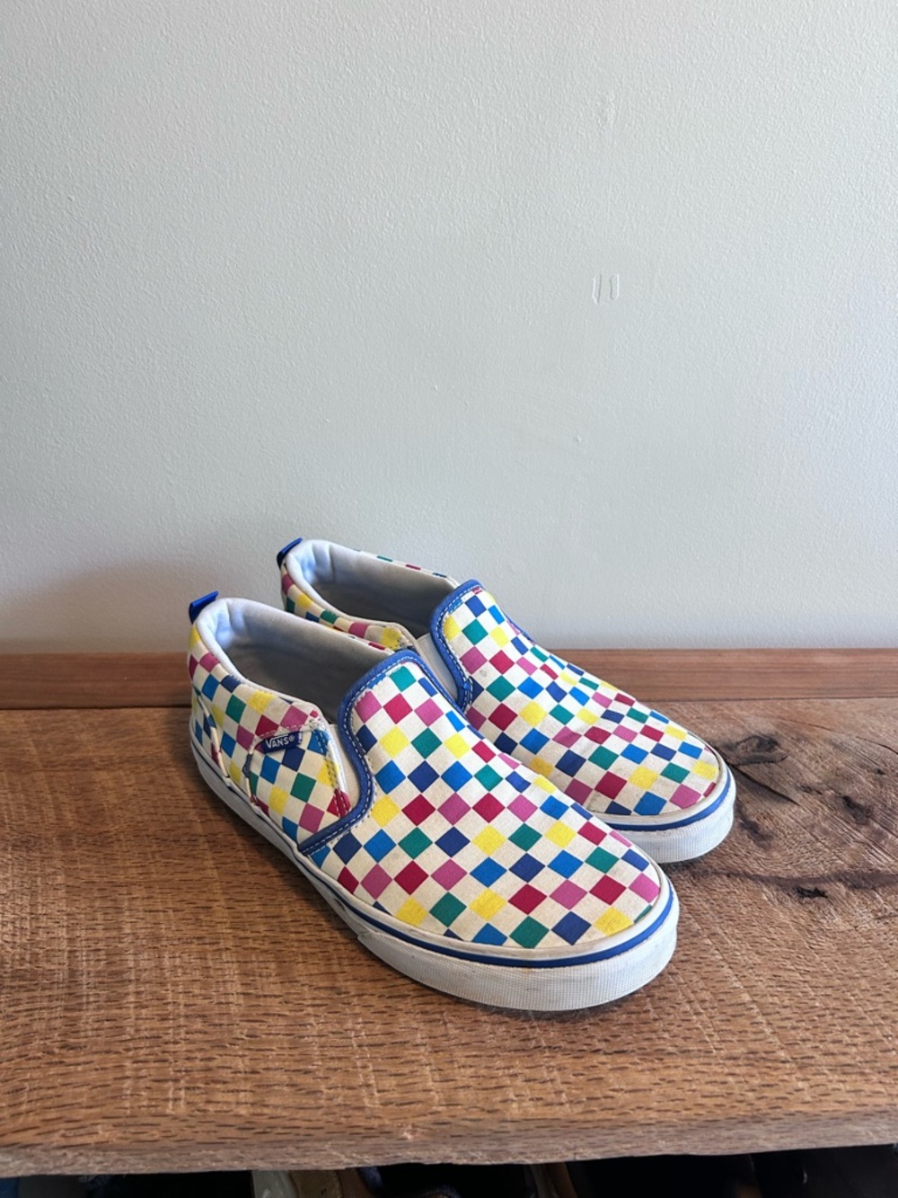 Vans Asher Checkered Shoes